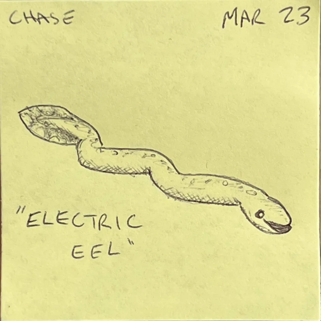 Electric Eel