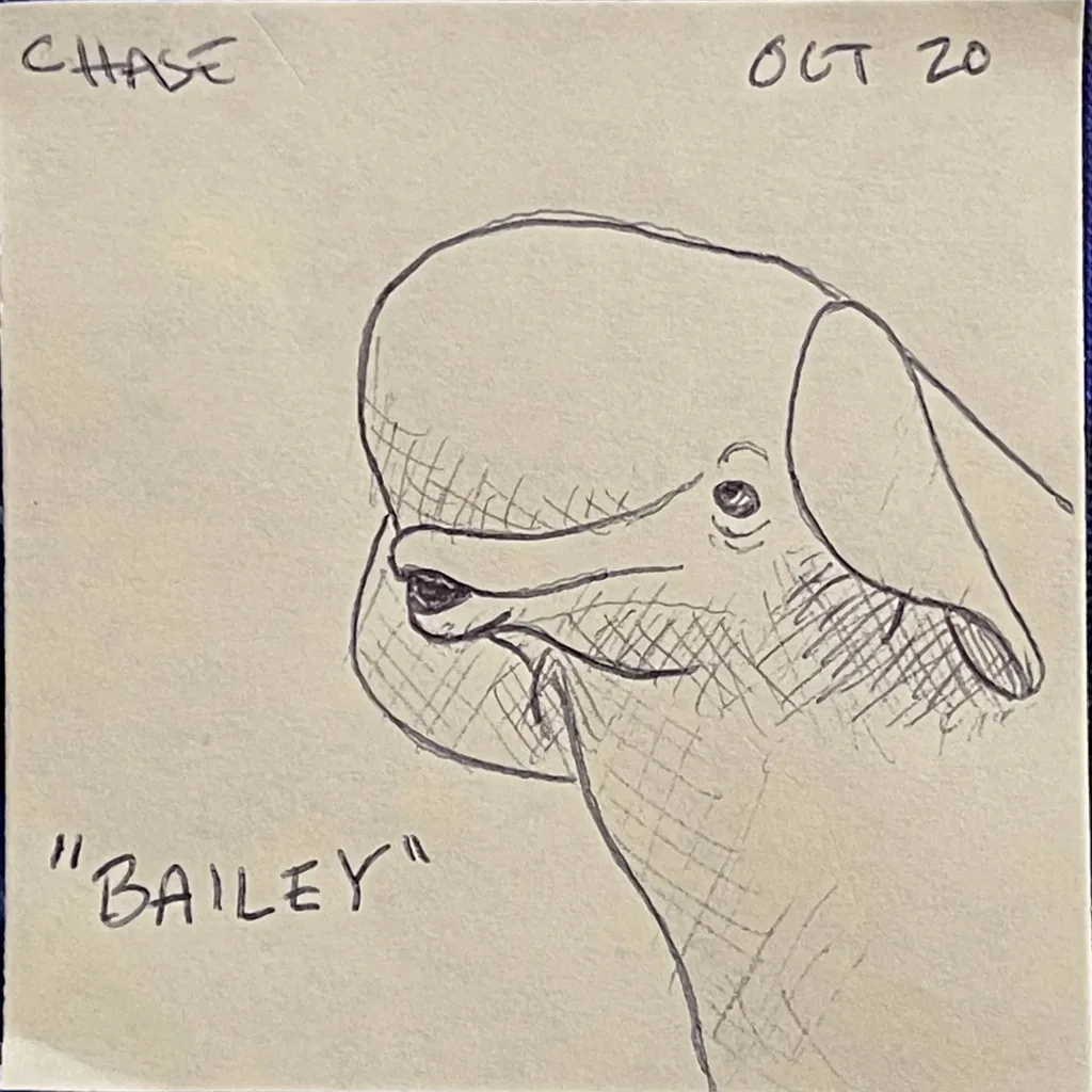 Bailey The Beluga