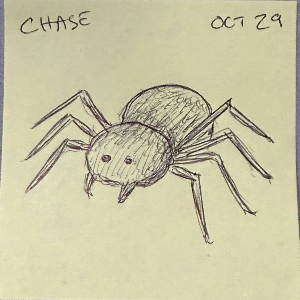 Creepy Crawly Spider