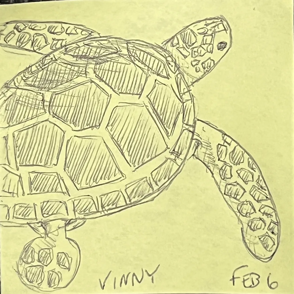 Sea Turtle
