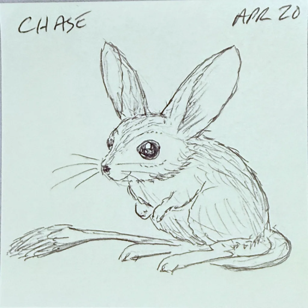Long-Eared Jerboa
