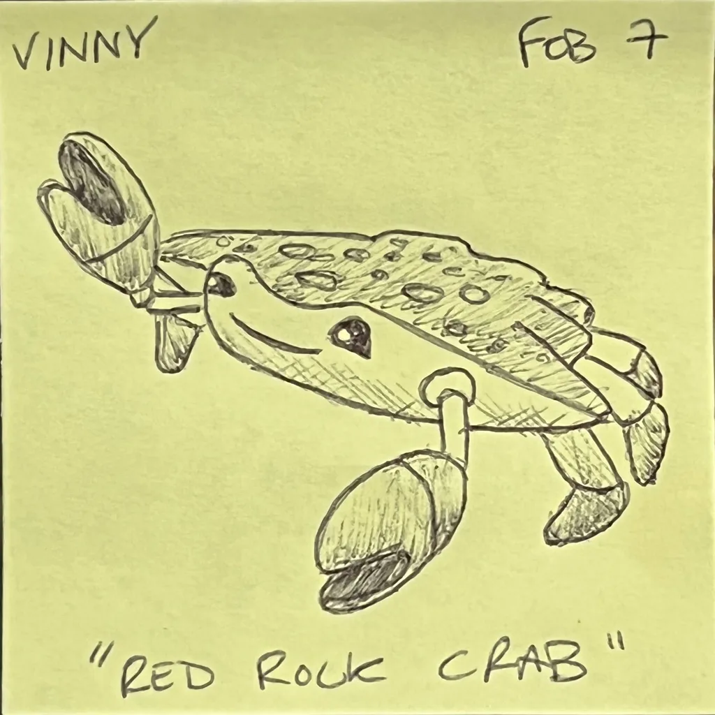 Red Rock Crab