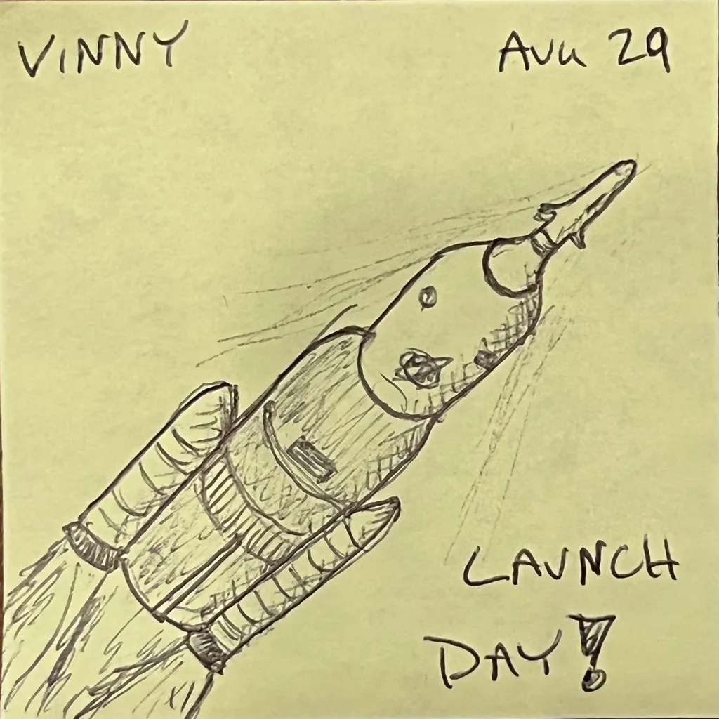 Launch Day Rocket