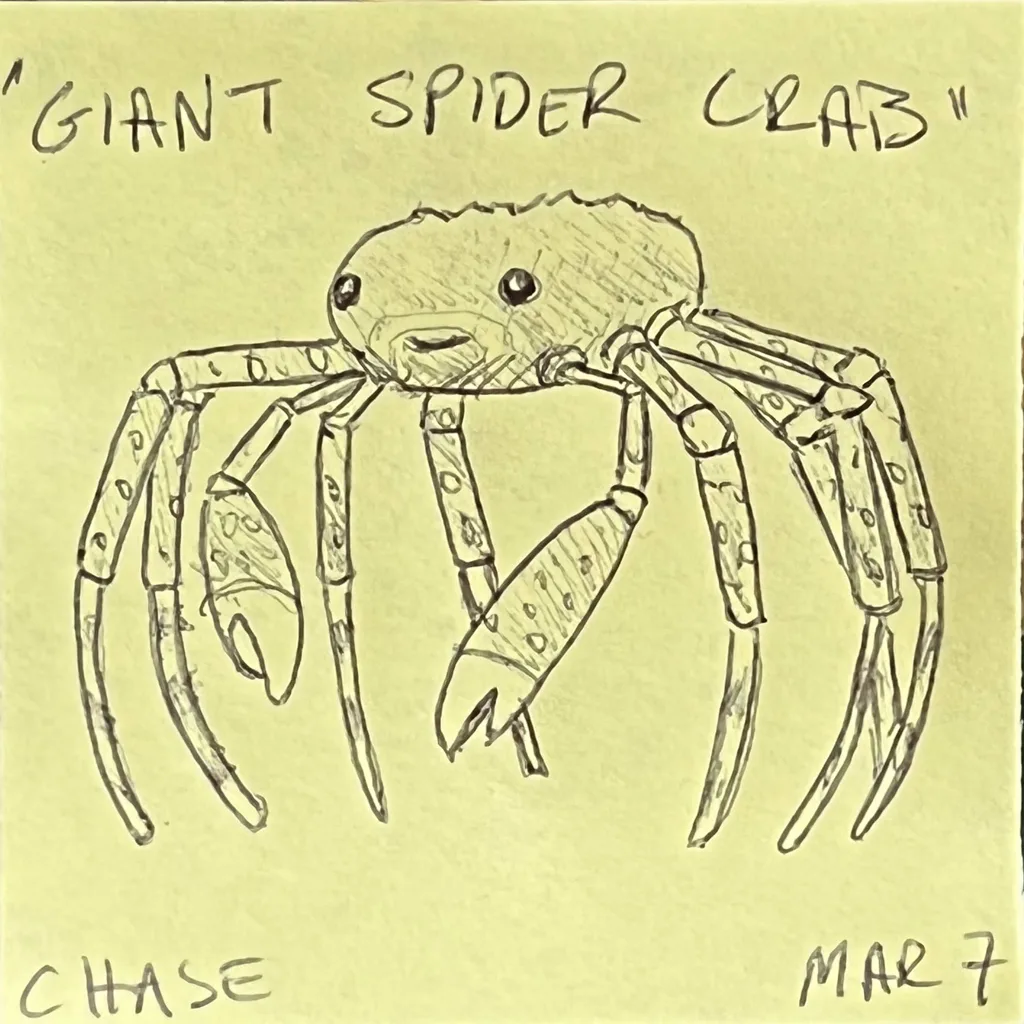 Giant Spider Crab