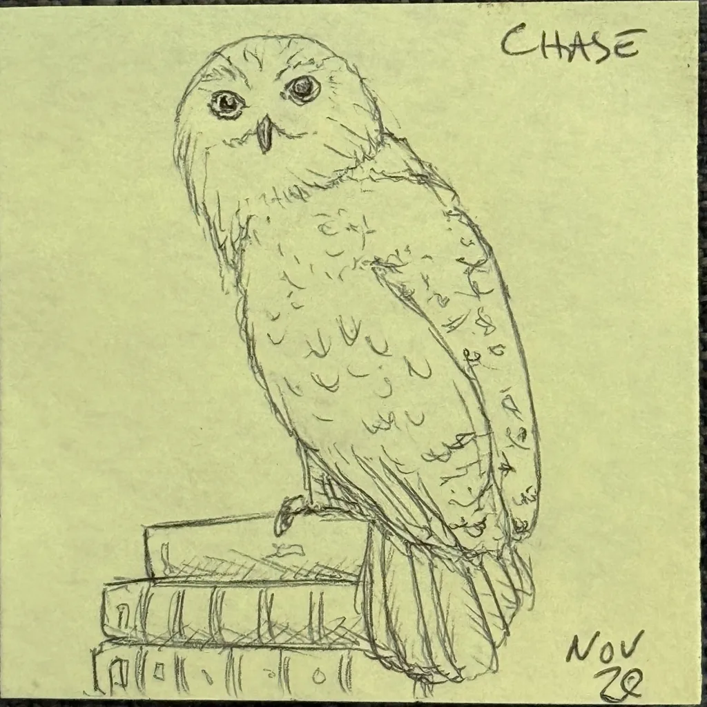 Snowy Owl On Books