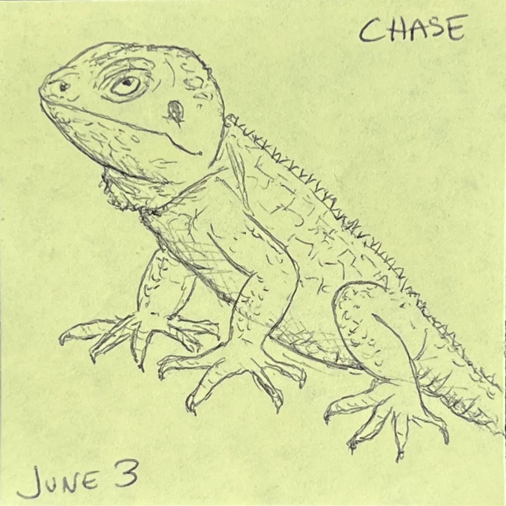 Spiky Lizard