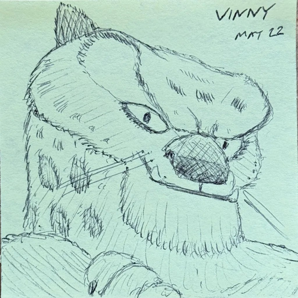 Grumpy Badger