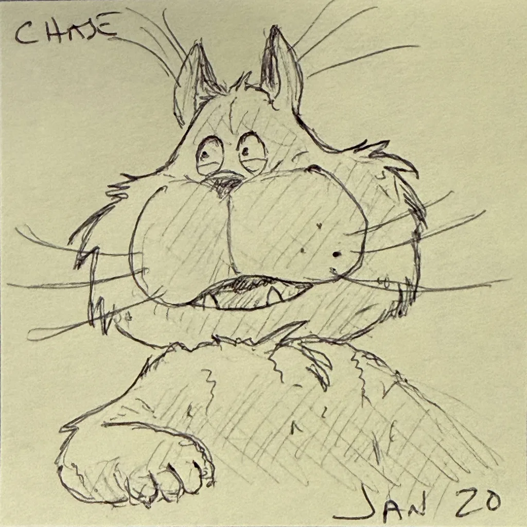 Scruffy Startled Cat