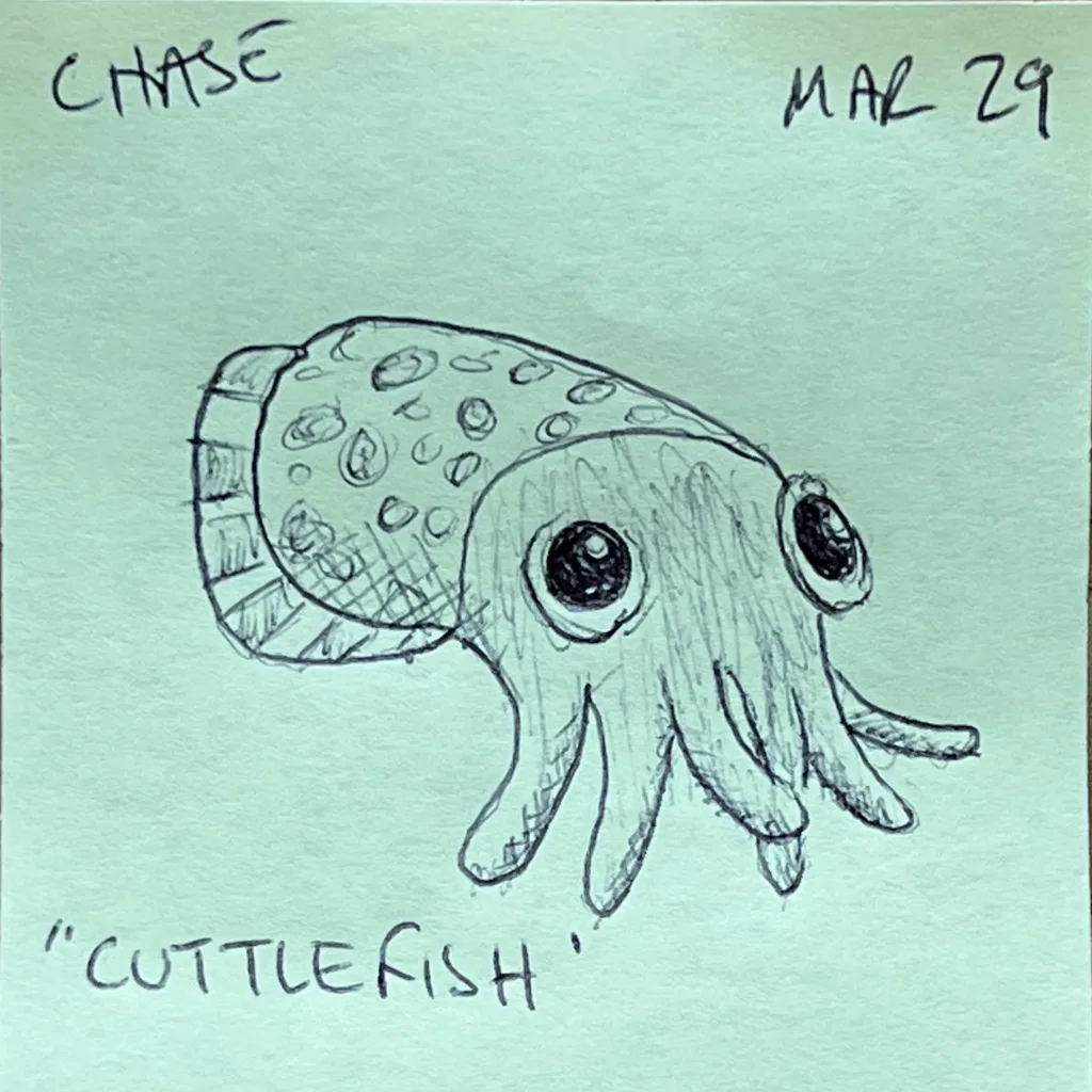 Cuttlefish