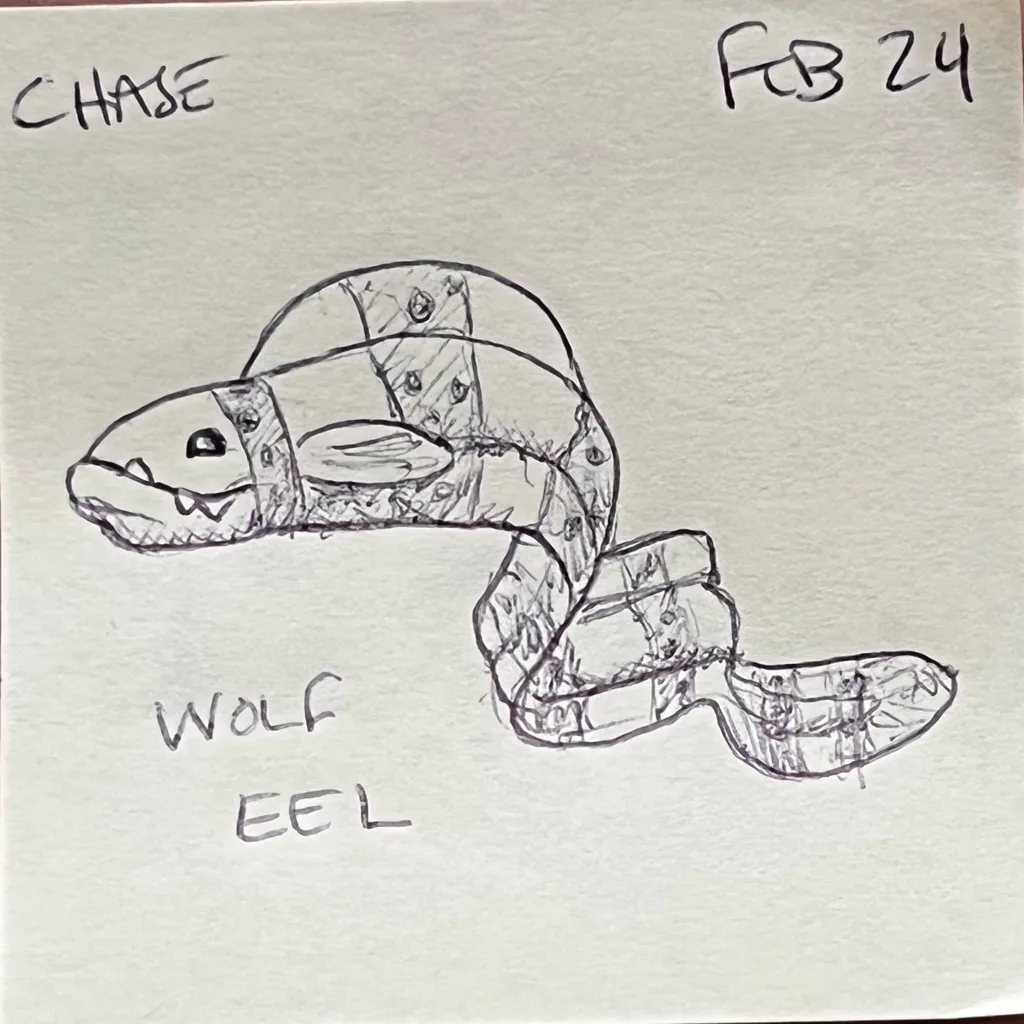 Wolf Eel