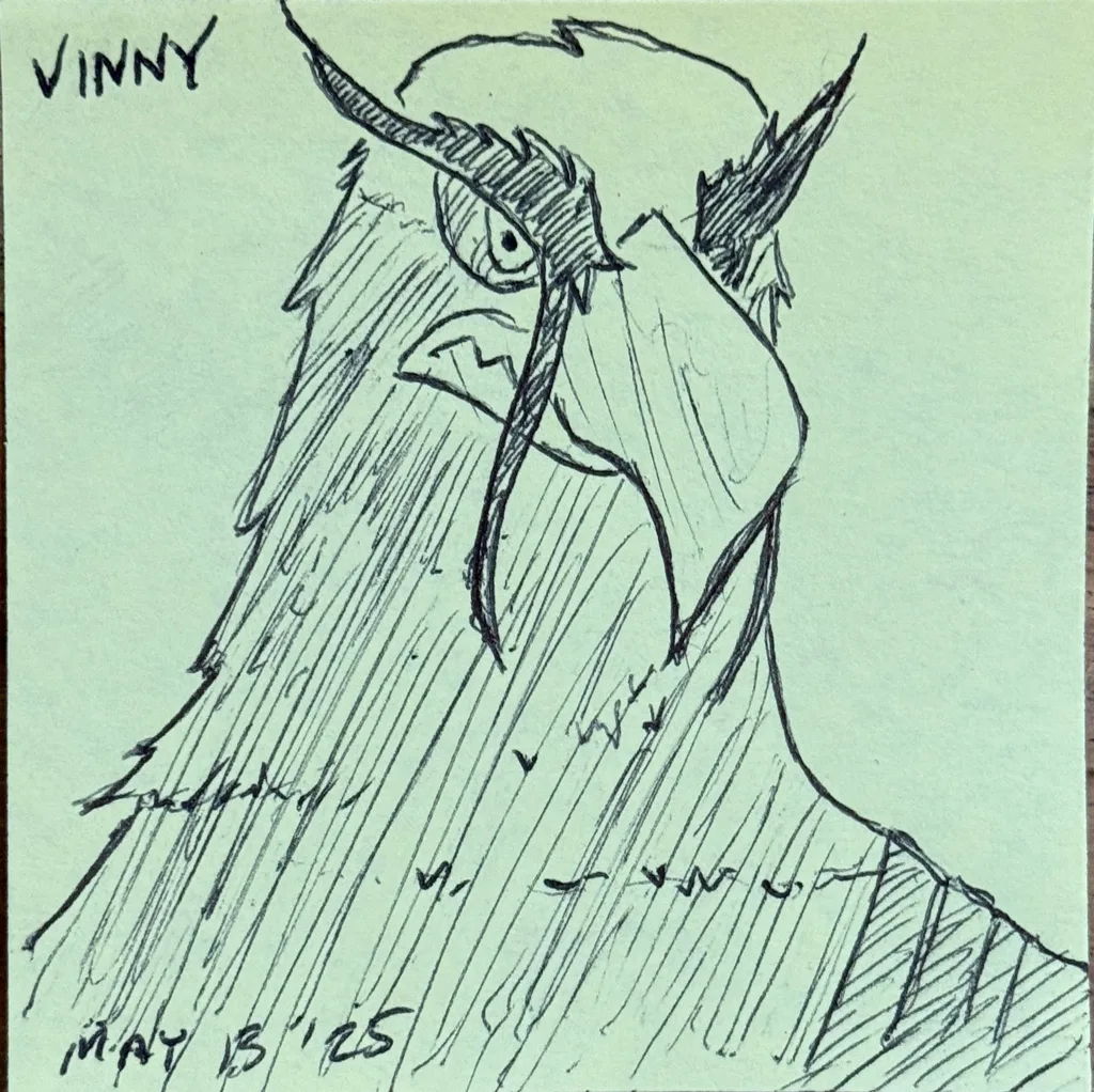 Angry Eagle Portrait