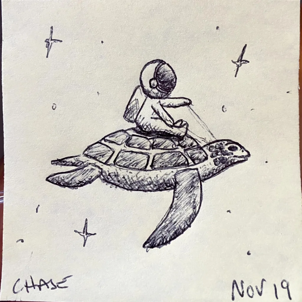 Space Turtle Rider