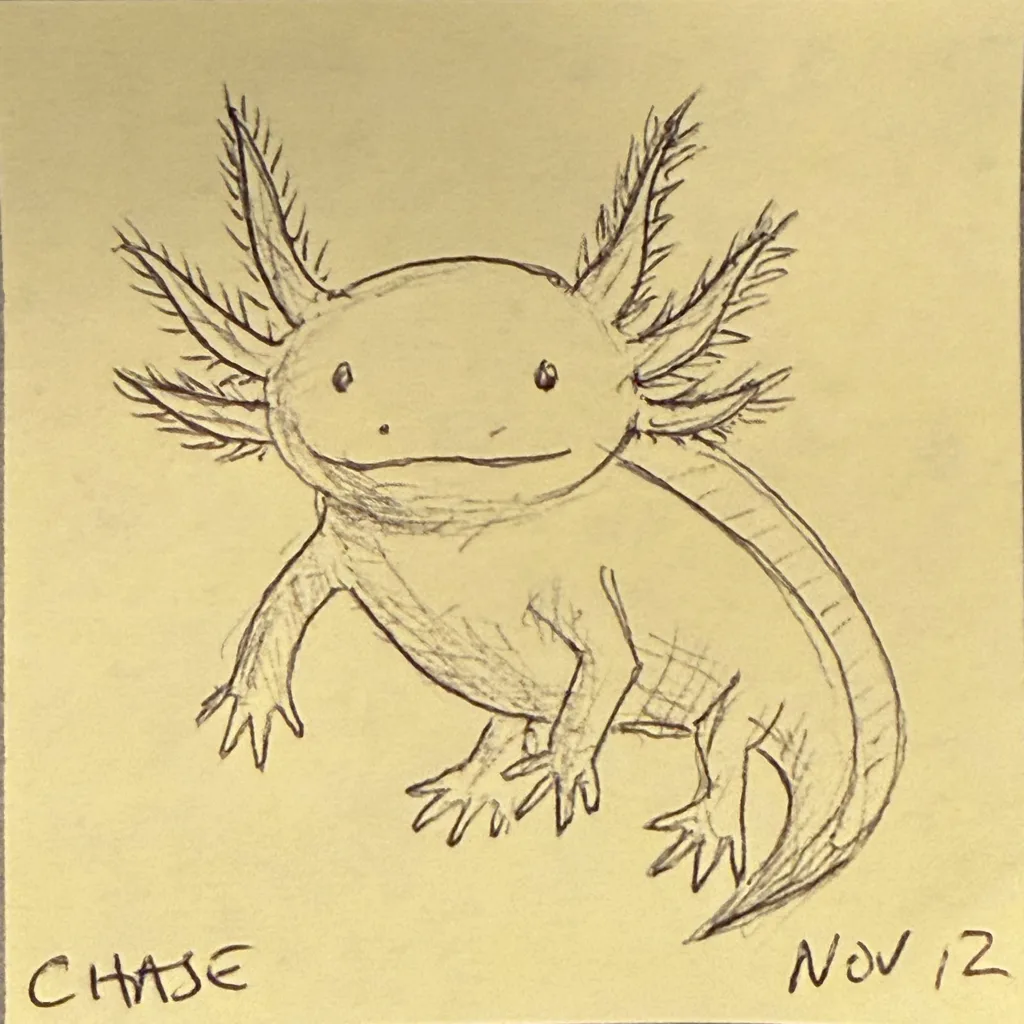Smiling Axolotl