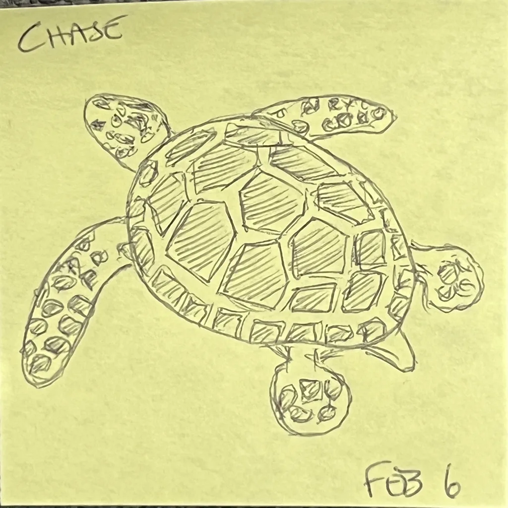 Sea Turtle