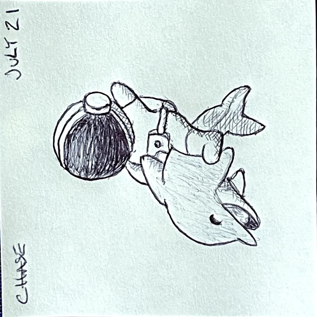 Astronaut Dolphin