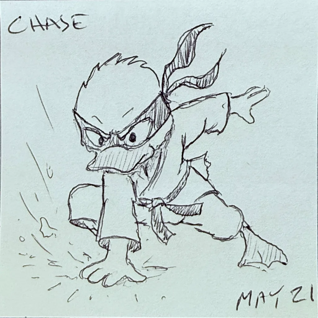 Ninja Duck