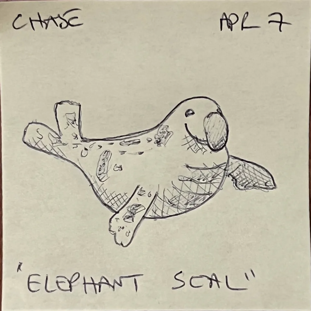 Elephant Seal