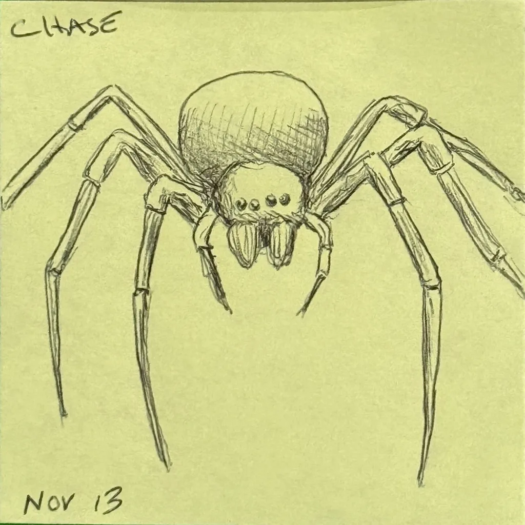 Big Hairy Spider