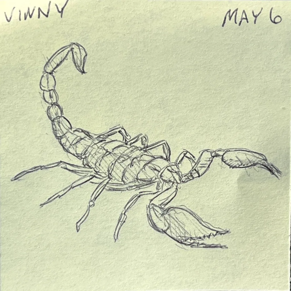Sneaky Scorpion