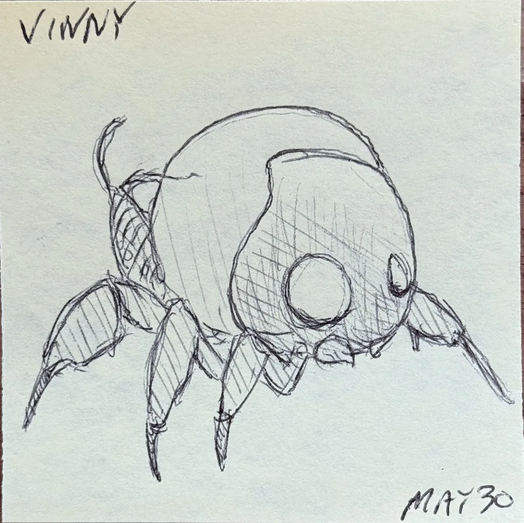 Big Round Beetle
