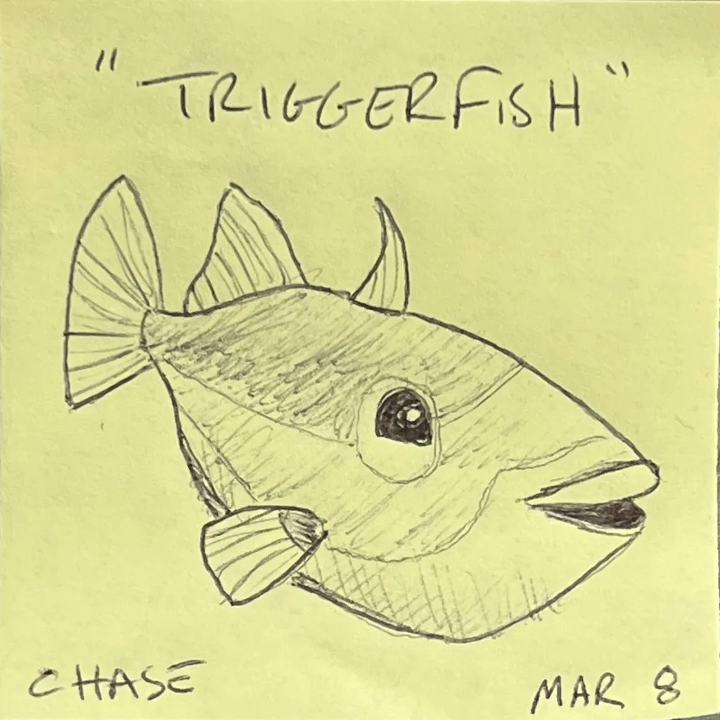 Triggerfish
