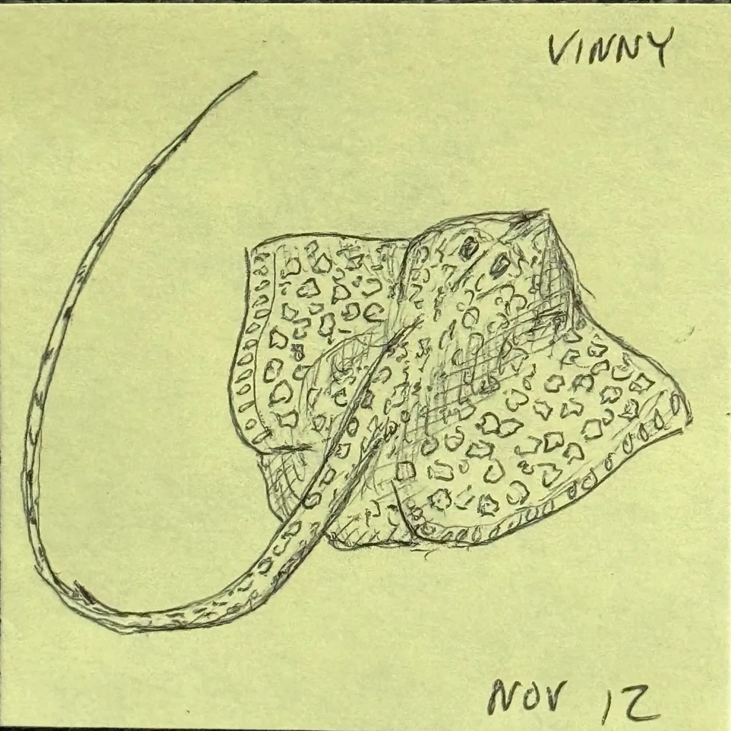 Spotted Stingray